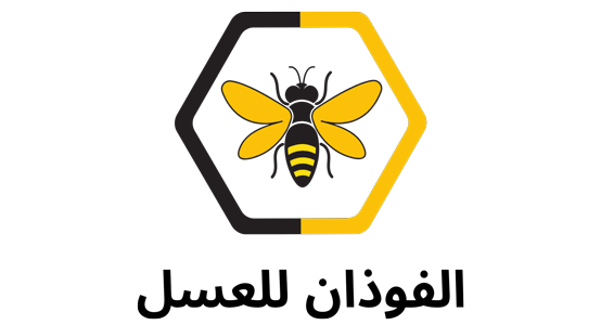 Amiso Logo