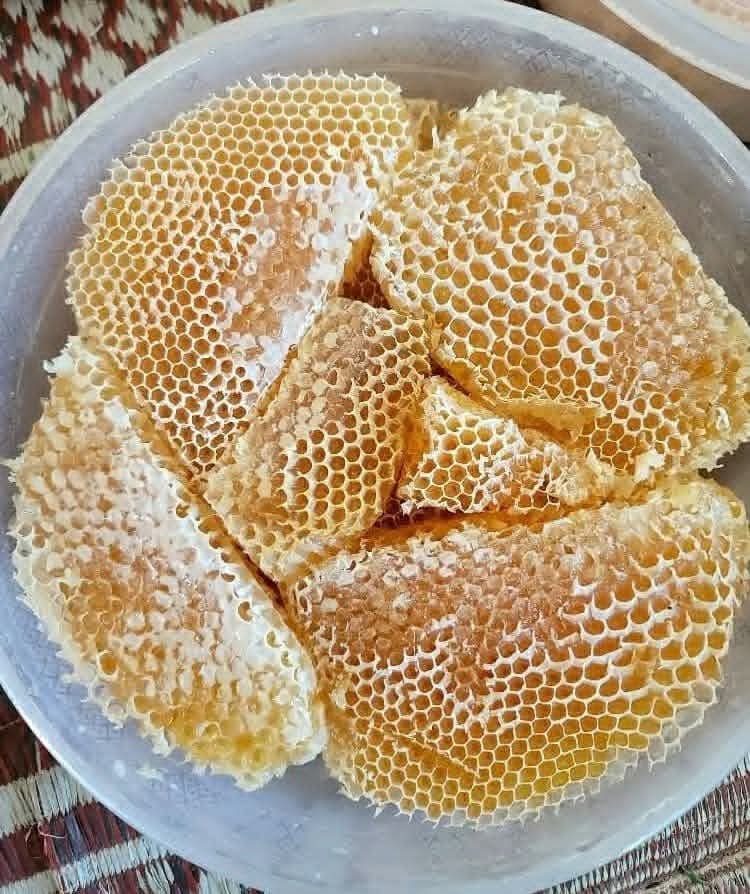 عسل السدر
