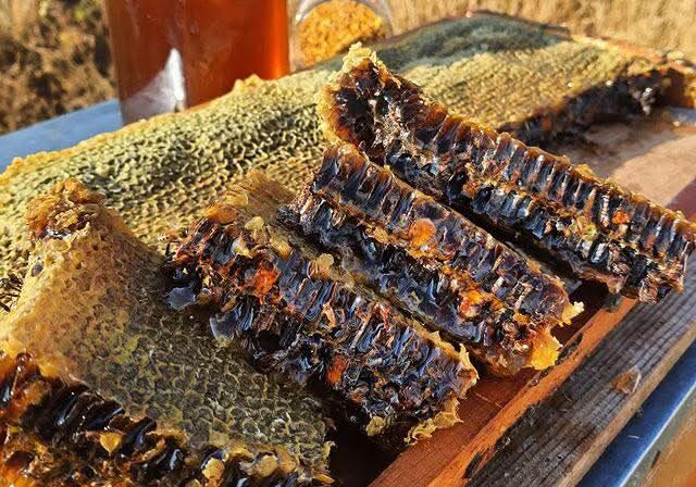 عسل نحل بلدي طبيعي بالزنجبيل لتقوية المناعة والجسم